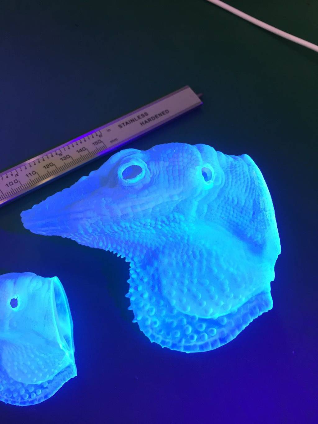 3D printed Carolina Anole Lizard - ZSL London 6